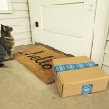 vinyl subscription